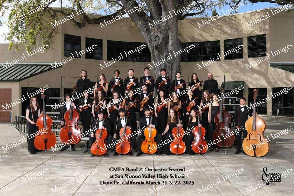 Musical Images